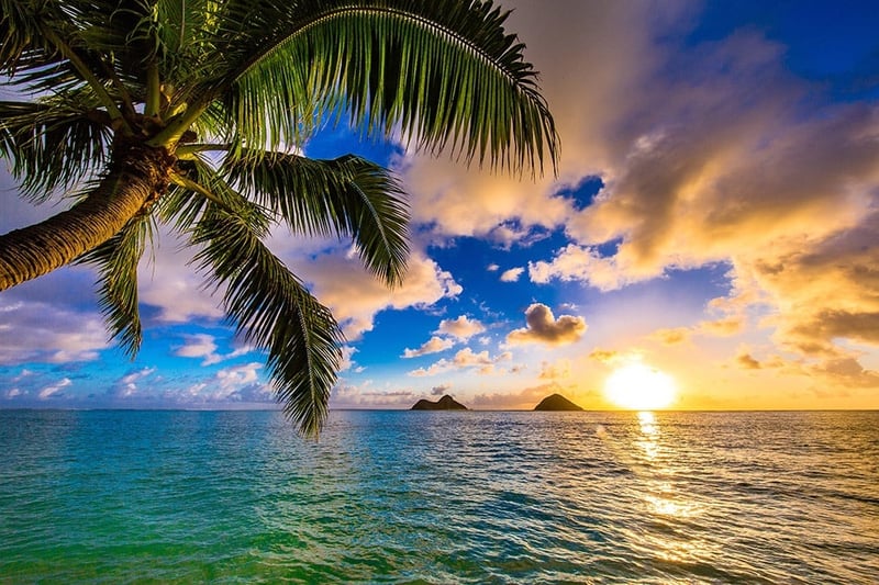 Hawaii Air Cargo